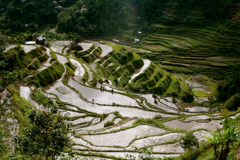 The Banaue Rice Terraces are a UNESCO World Heritage Site